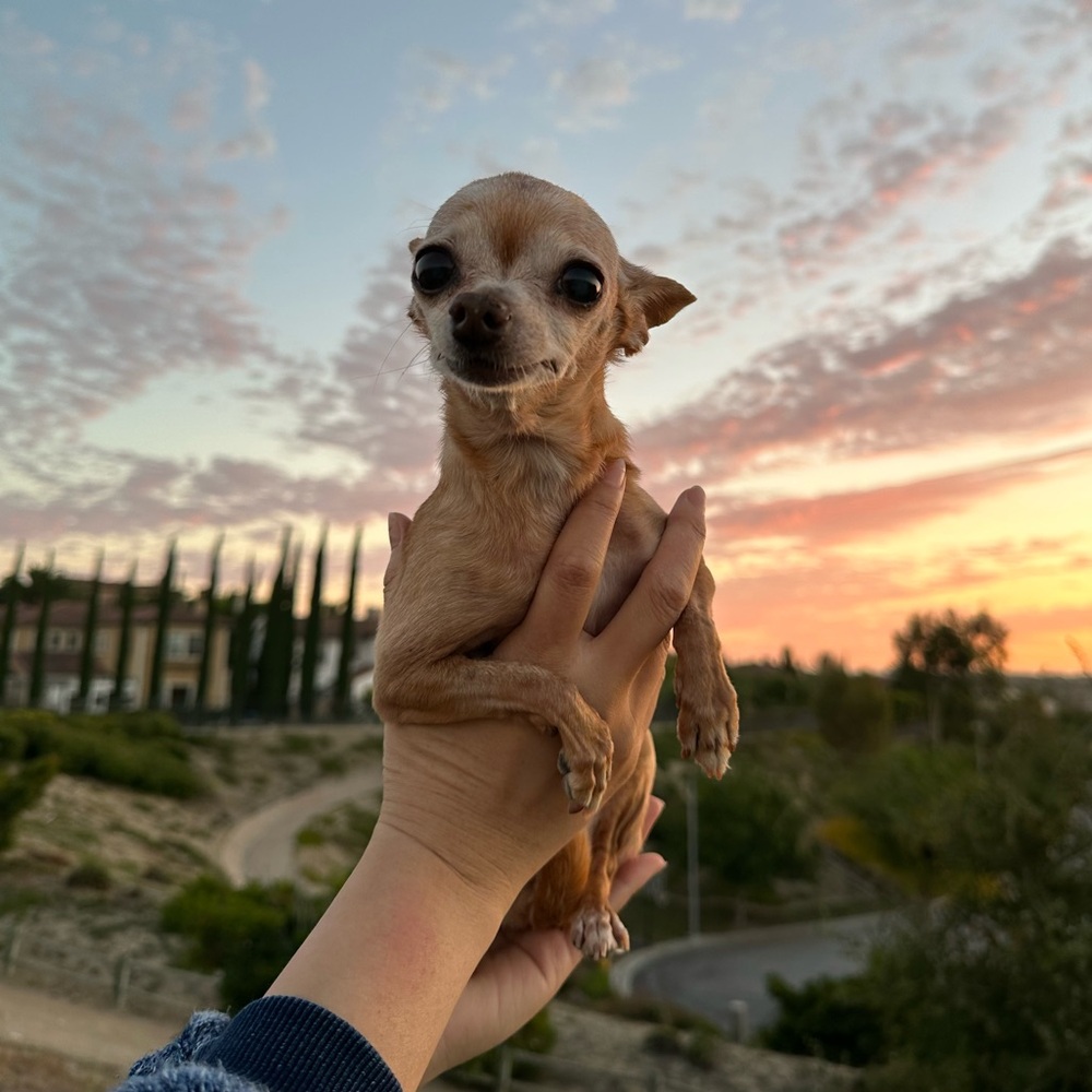 Meet your Posher, Michelle